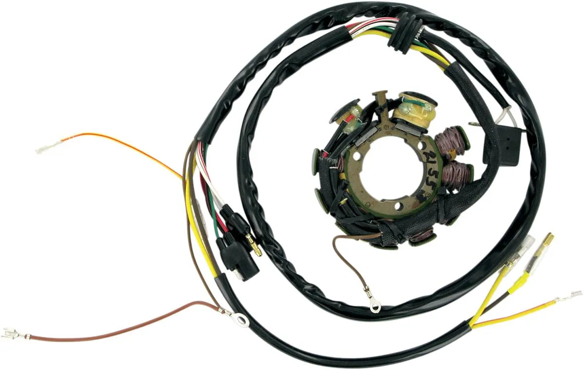 Rick's Motorsport Electric Polaris Stator