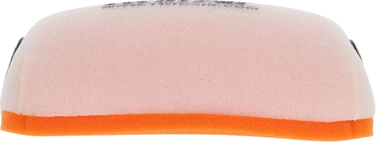 Twin Air Standard Air Filter