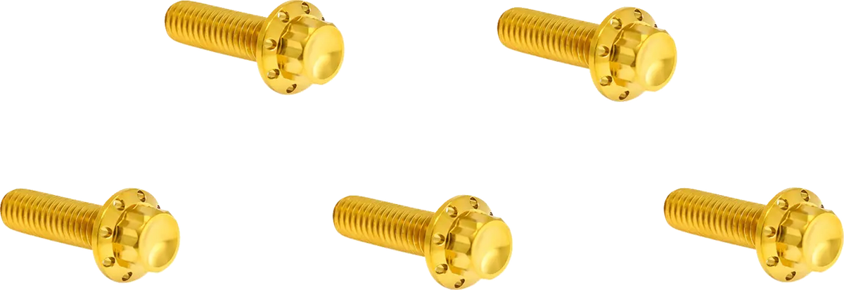 Arlen Ness Titanium M8 12-Point Gold Derby Cover Bolt Kit for M8