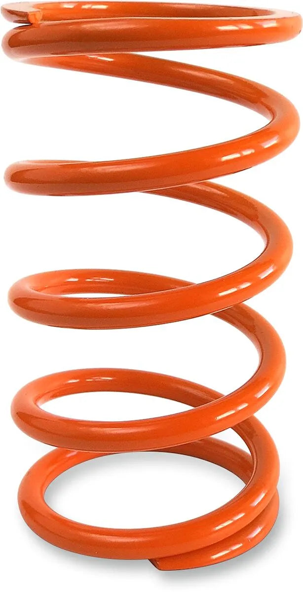 Epi Primary Clutch Spring