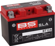 Bs Battery Agm 12v 10ah - Maintenance-free Battery