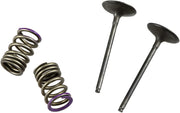 Prox Valve And Spring Kit - Steel Intake Valves