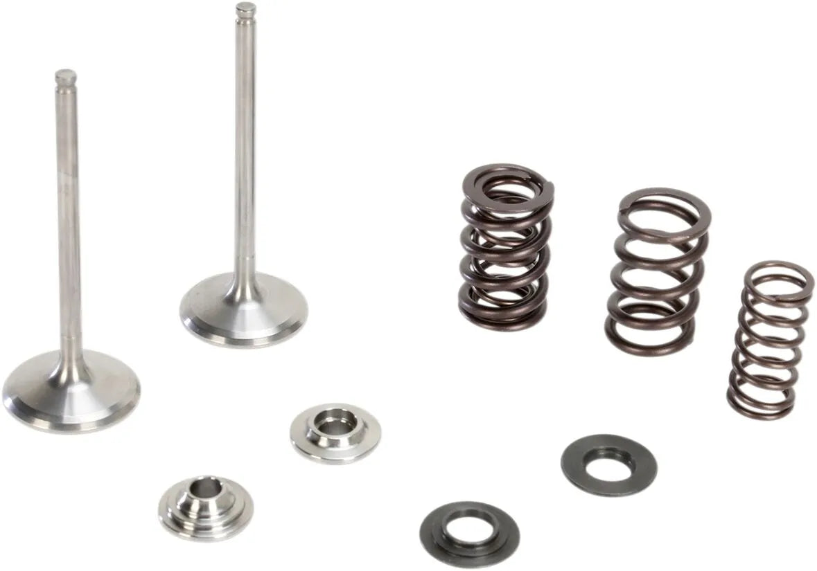 Kibblewhite Stainless Intake Valve Spring Kit