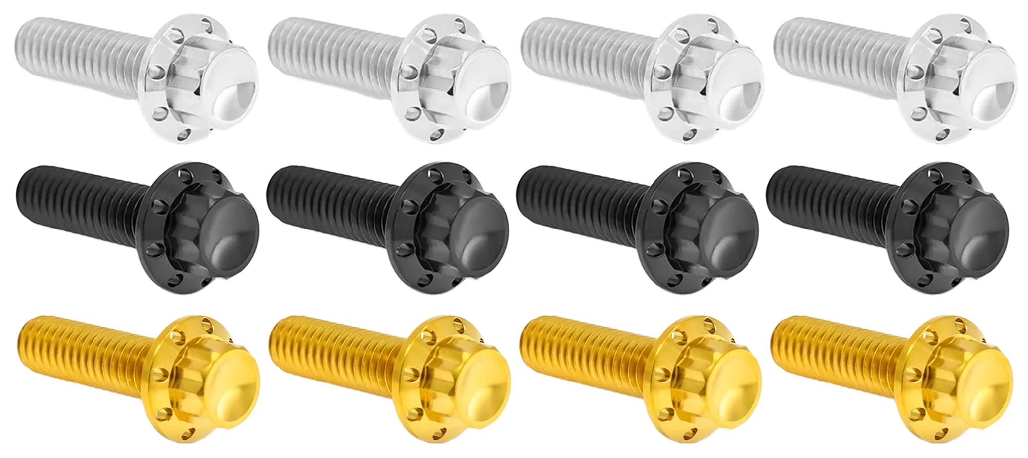 Arlen Ness Brake and Perch Titanium 12-POINT Bolt Kits – Hardware