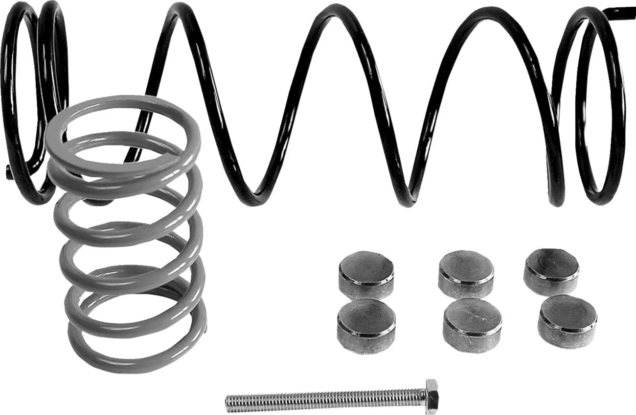 Epi Clutch Kit For Atv/utv