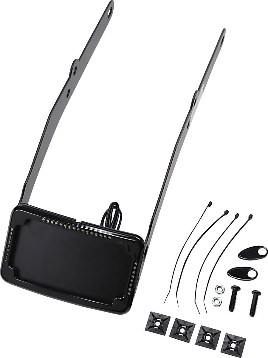 Cycle Visions Curved License Mount With Led Frame