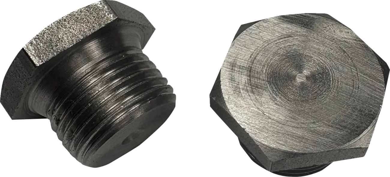 Bassani Xhaust O2 Sensor Port Stecker