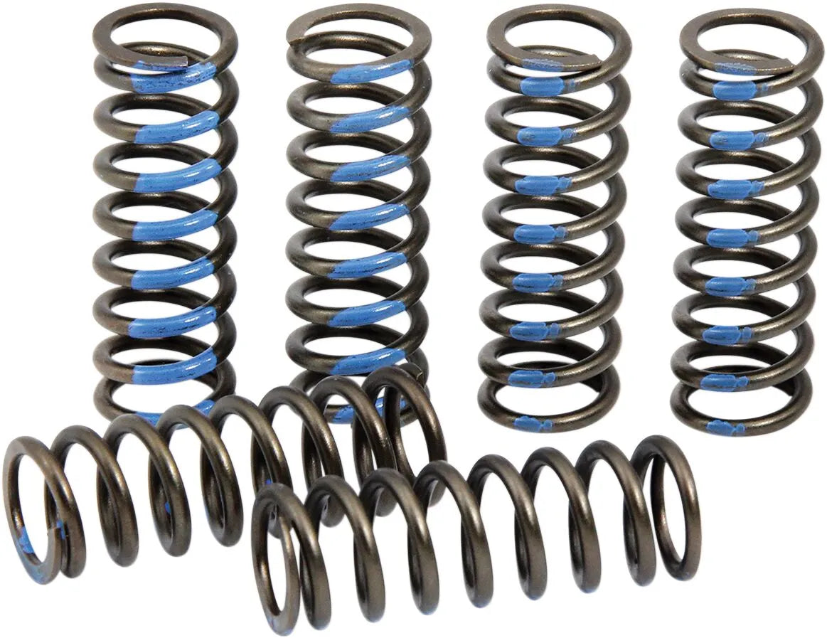 Pro Circuit Clutch Spring Set