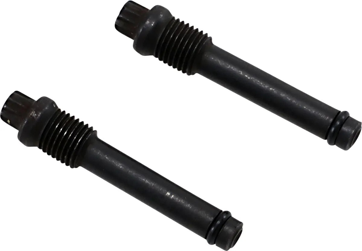 Drag Specialties Hinterrad-Bremsbelagstifte