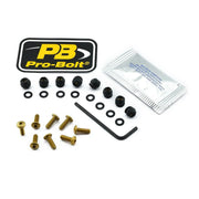 Pro Bolt Aluminium Screen Bolt Kit - Gold