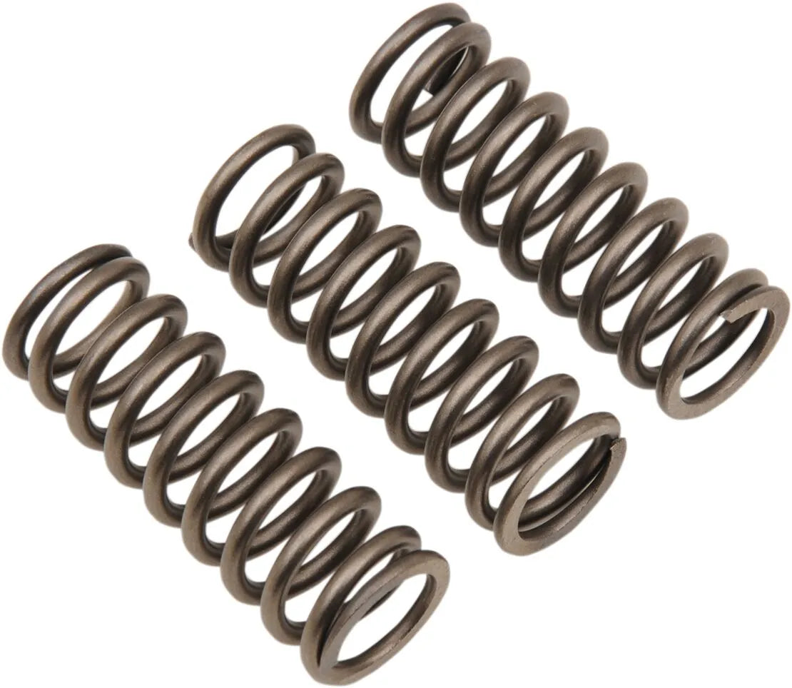 Ebc Csk Clutch Spring Set