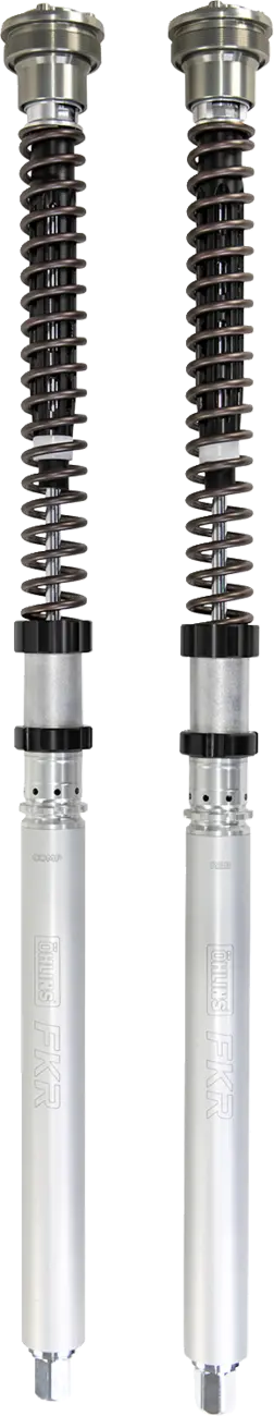 Ohlins FKR 218 Fork Cartridge Kit