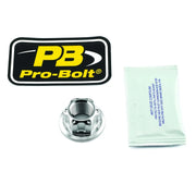 Pro Bolt Axle Nut For Swingarm - Stainless Steel