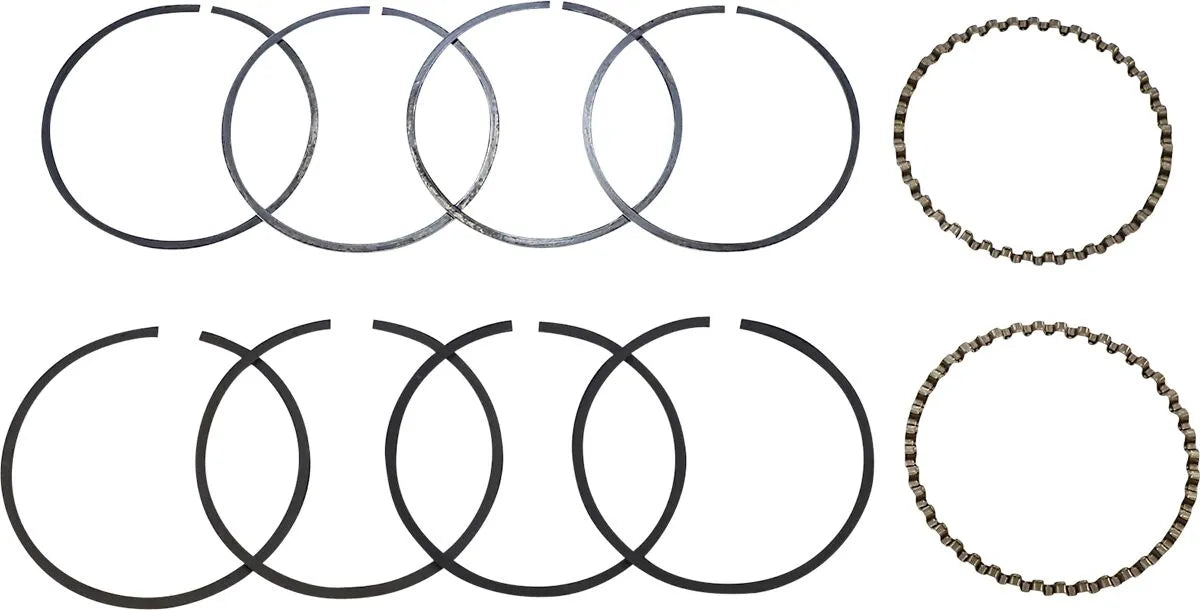Hastings Piston Ring Set for Two Pistons