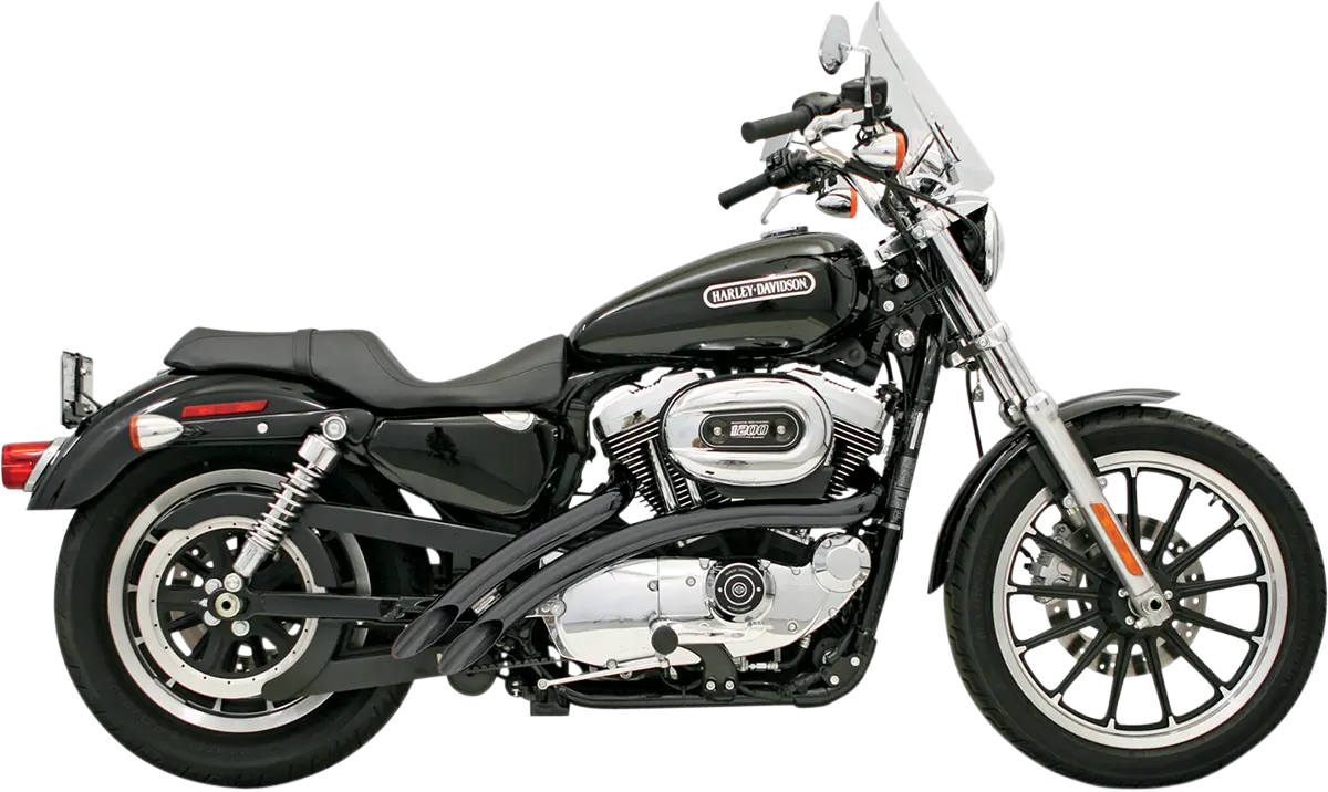Bassani Xhaust Radial Sweepers Auspuffanlage Schwarz Stahl – Leistungssteigerung für dein Motorrad