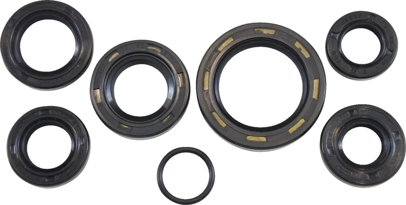 Vintco Oil Seal Kit for Engine Lower End
