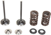 Moose Offroad Intake Valve And Spring Kit