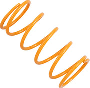 Epi Primary Clutch Spring