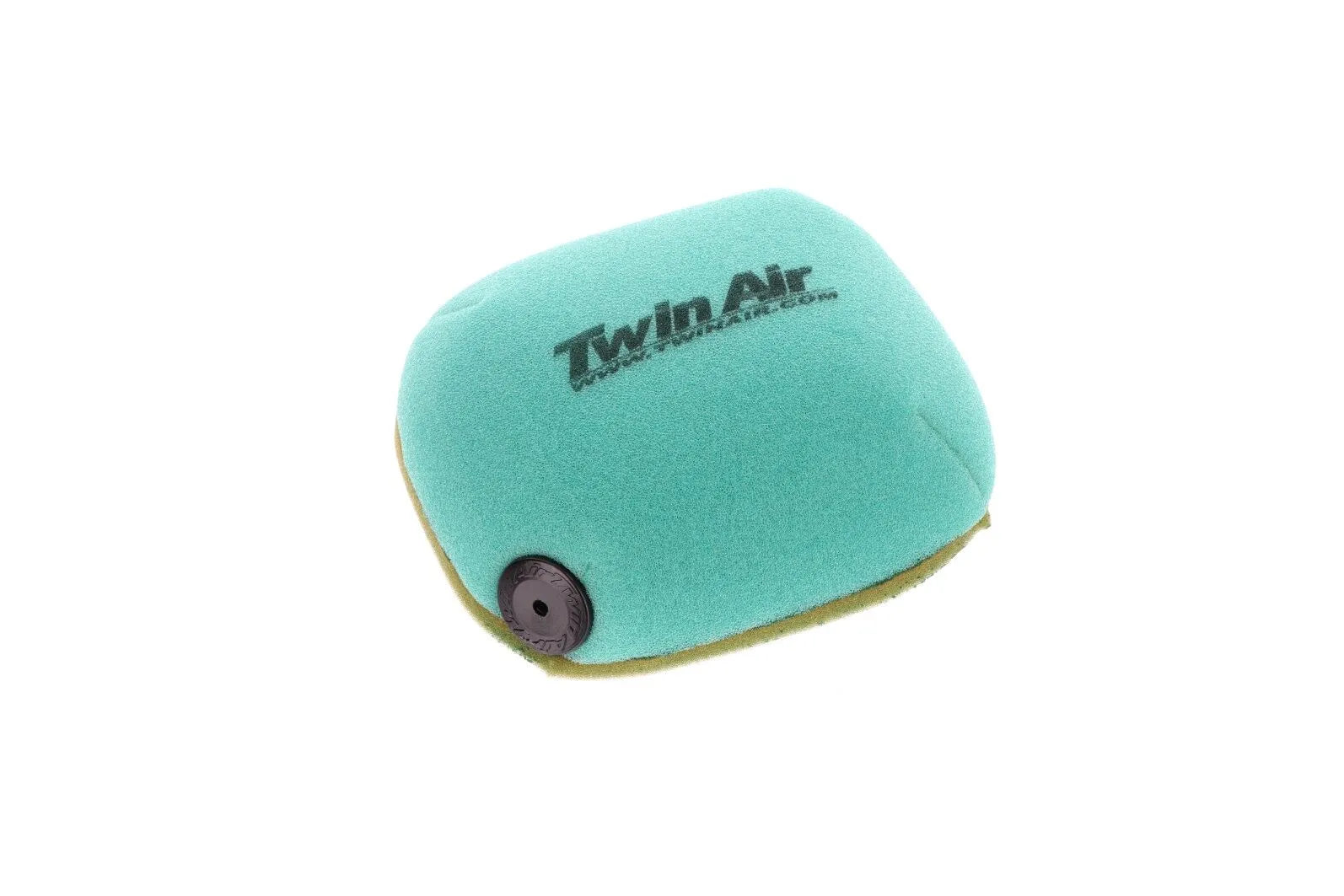 Twin Air Air Filter