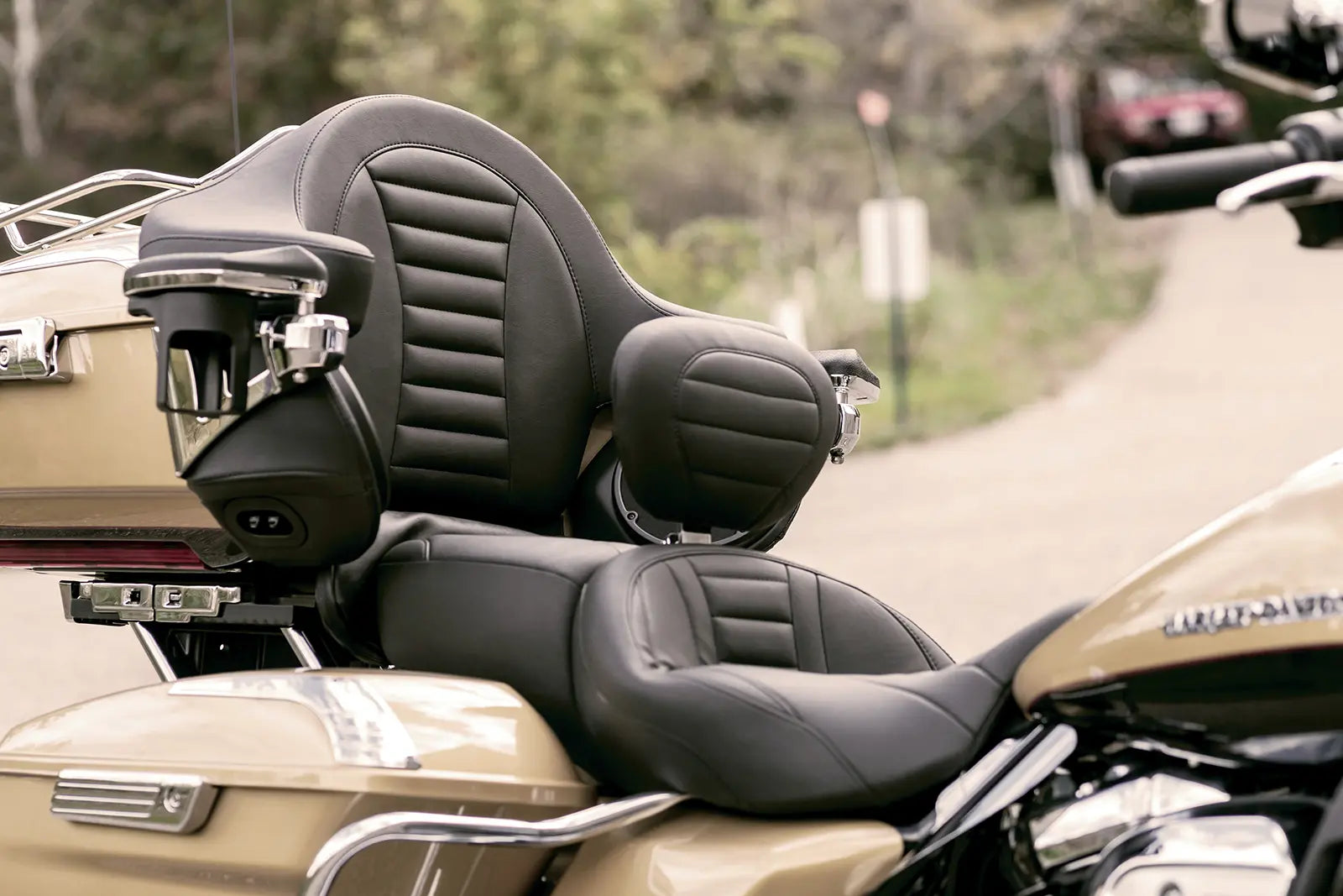 Mustang Removable Driver Backrest - Black Vinyl