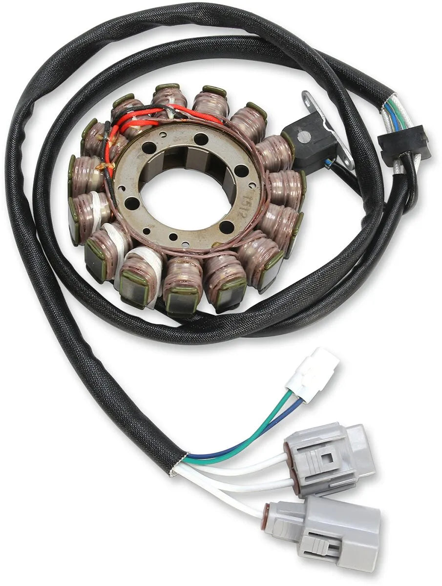 Rick's Motorsport Electric Stator For Kawasaki