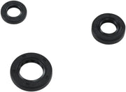 Moose Offroad Hard-Parts Oil Seal Kit for Engine