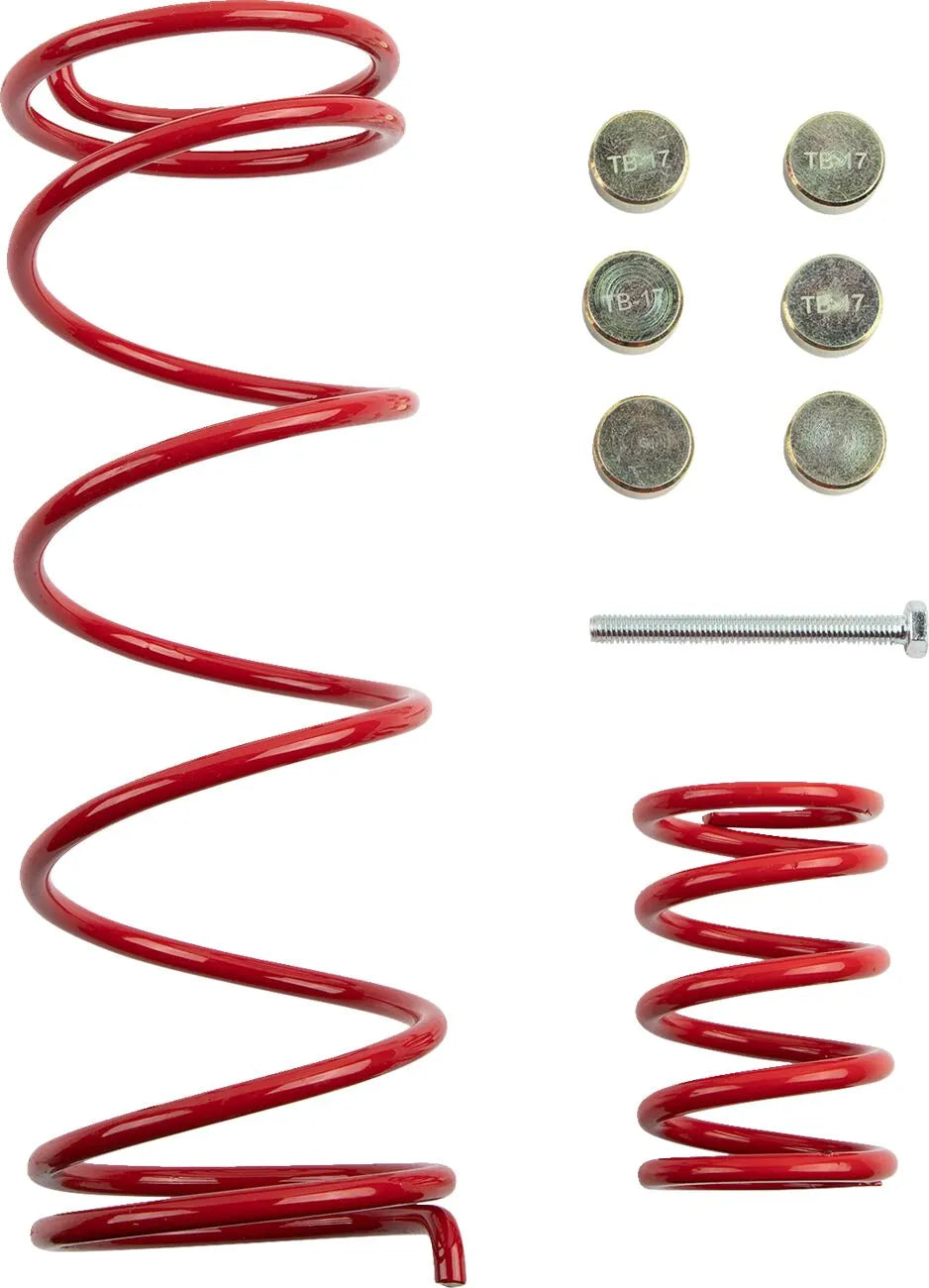 Epi Clutch Kit For Atv/utv