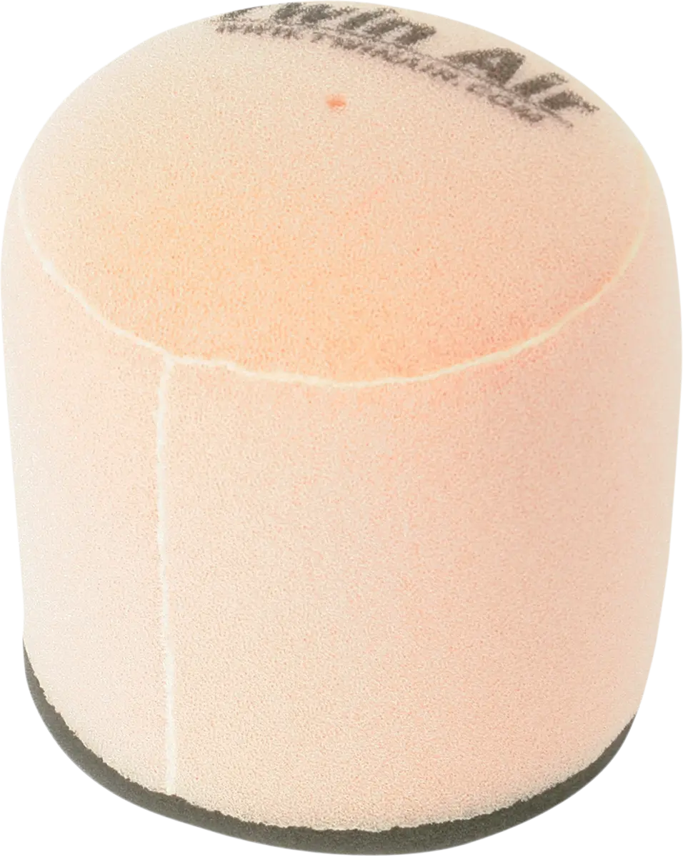 Twin Air Standard Air Filter