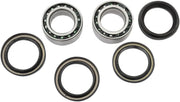 Pivot Works Wheel Bearing Kit for Rear