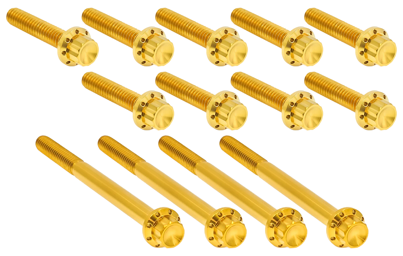 Arlen Ness Primary Cover Titanium 12-POINT Bolt Kits – Hardware