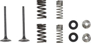 Moose Offroad Exhaust Valve And Spring Kit