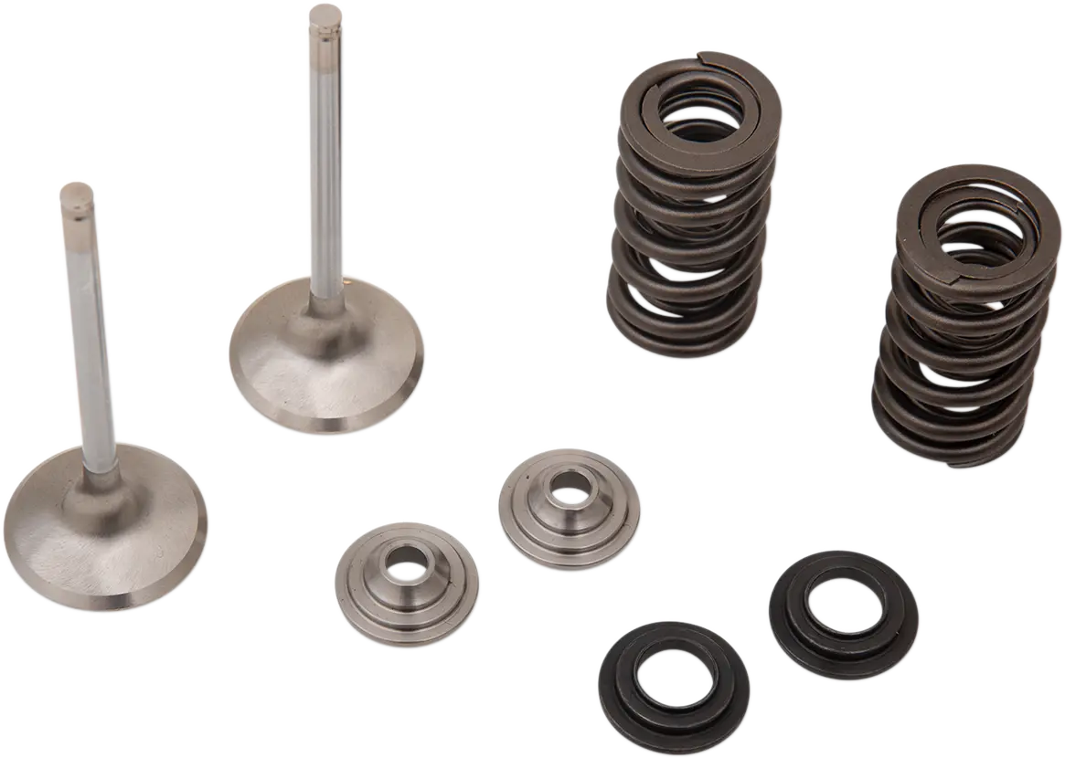 Moose Offroad Exhaust Valve And Spring Kit