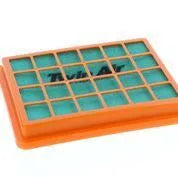 Twin Air Air Filter