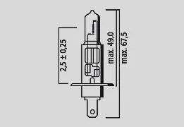 Flosser Halogen Headlight Bulbs