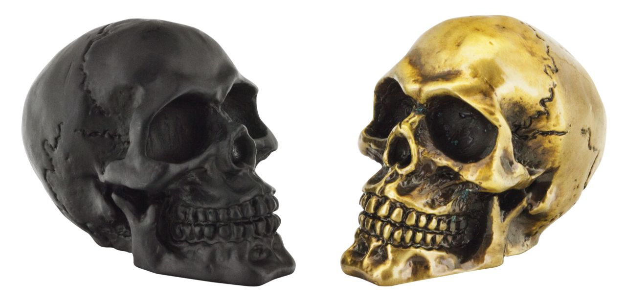 Zodiac Genuine Zodiac Skulls – Fender & Struts