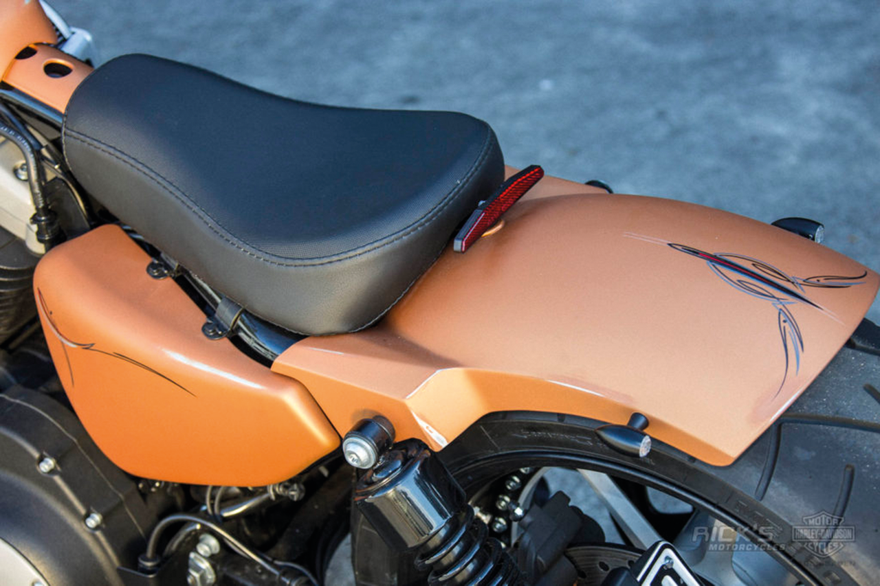 Rick's Steel Rear Fenders for Sportster – Fender & Struts
