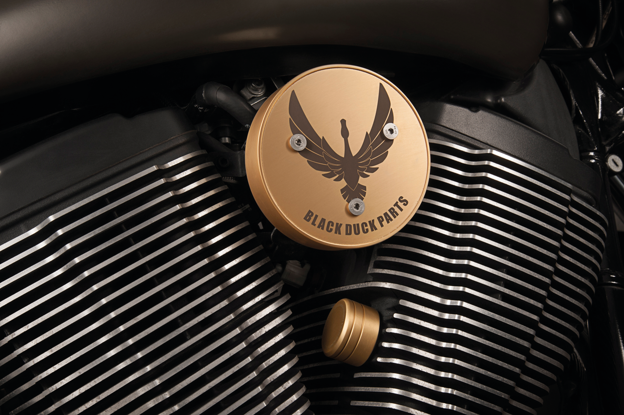Black Duck Engine Side Covers for Victory