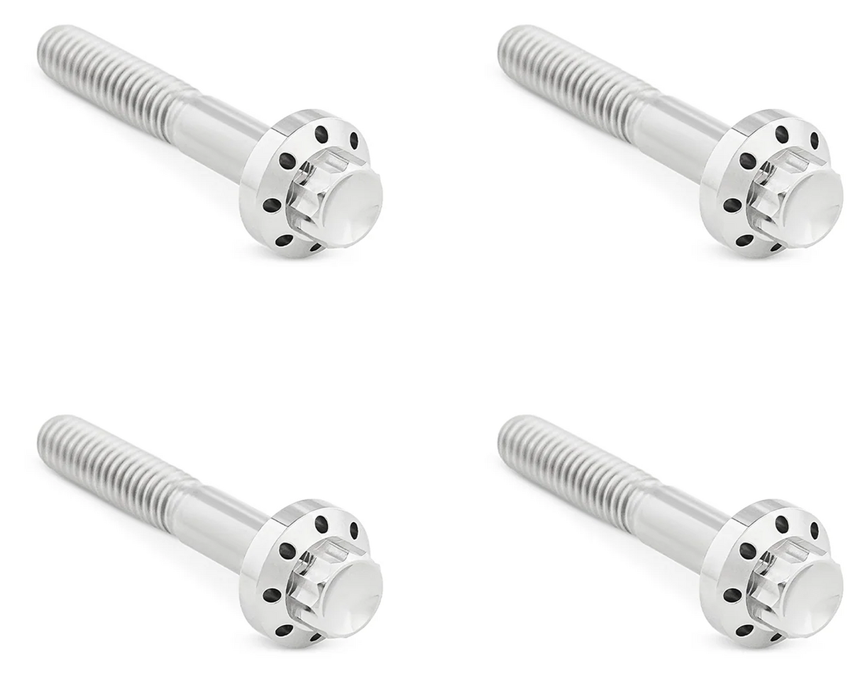 Arlen Ness Titanium 12-POINT Front Fender Bolts – Hardware