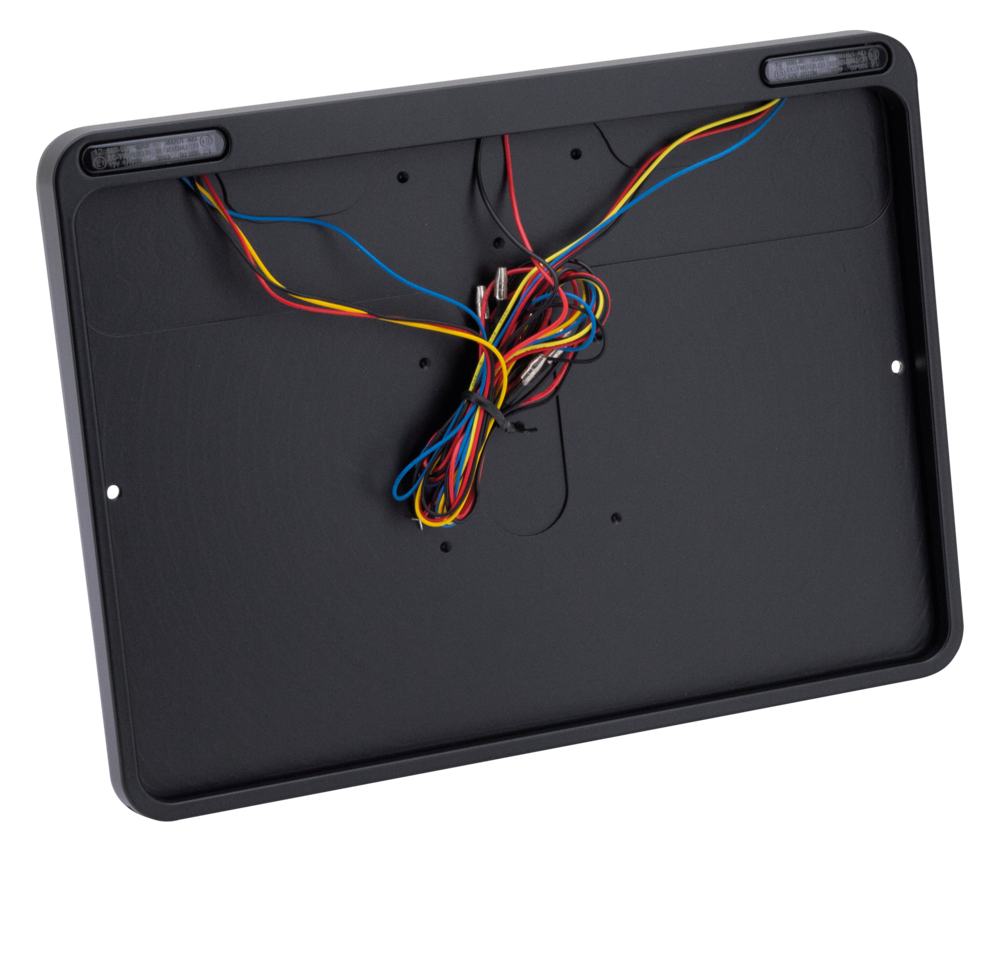 DMP License Plate Frame with Lights – Electric & Light
