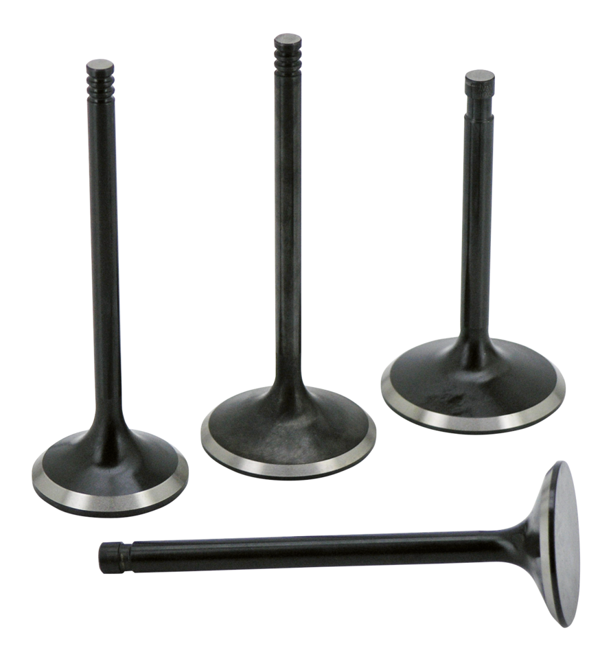 AV&V Extreme Duty Valves – Engine