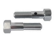 Zodiac Chrome Breather Bolts – Intake