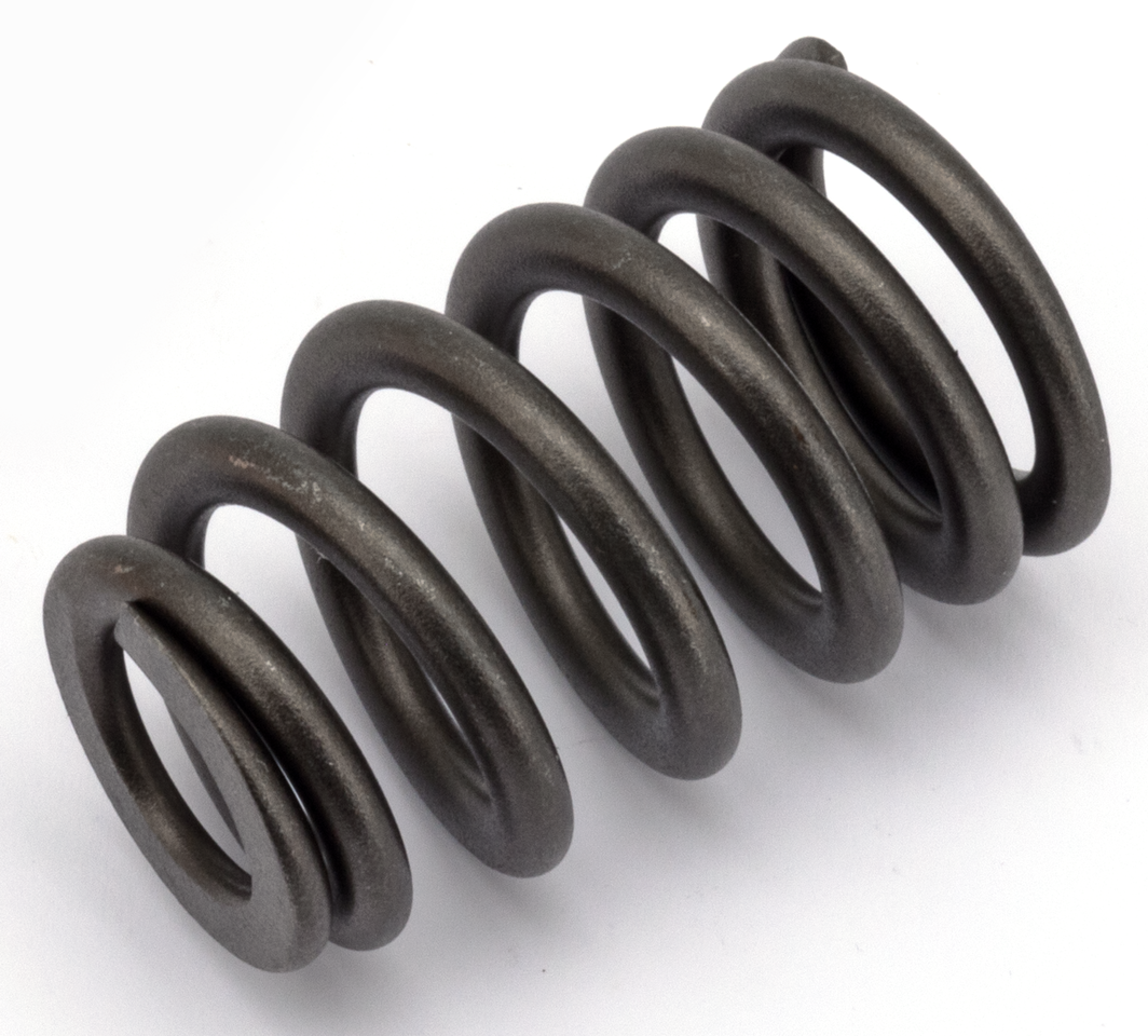 Zodiac Stock Replacement Valve Spring Sets – Engine