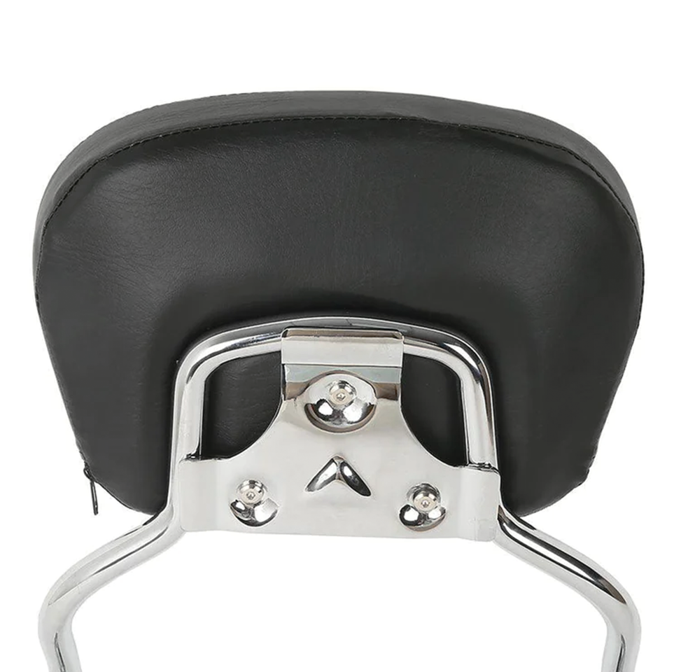 Zodiac Quick Release Sissy Bar Kits for Trike – Seat