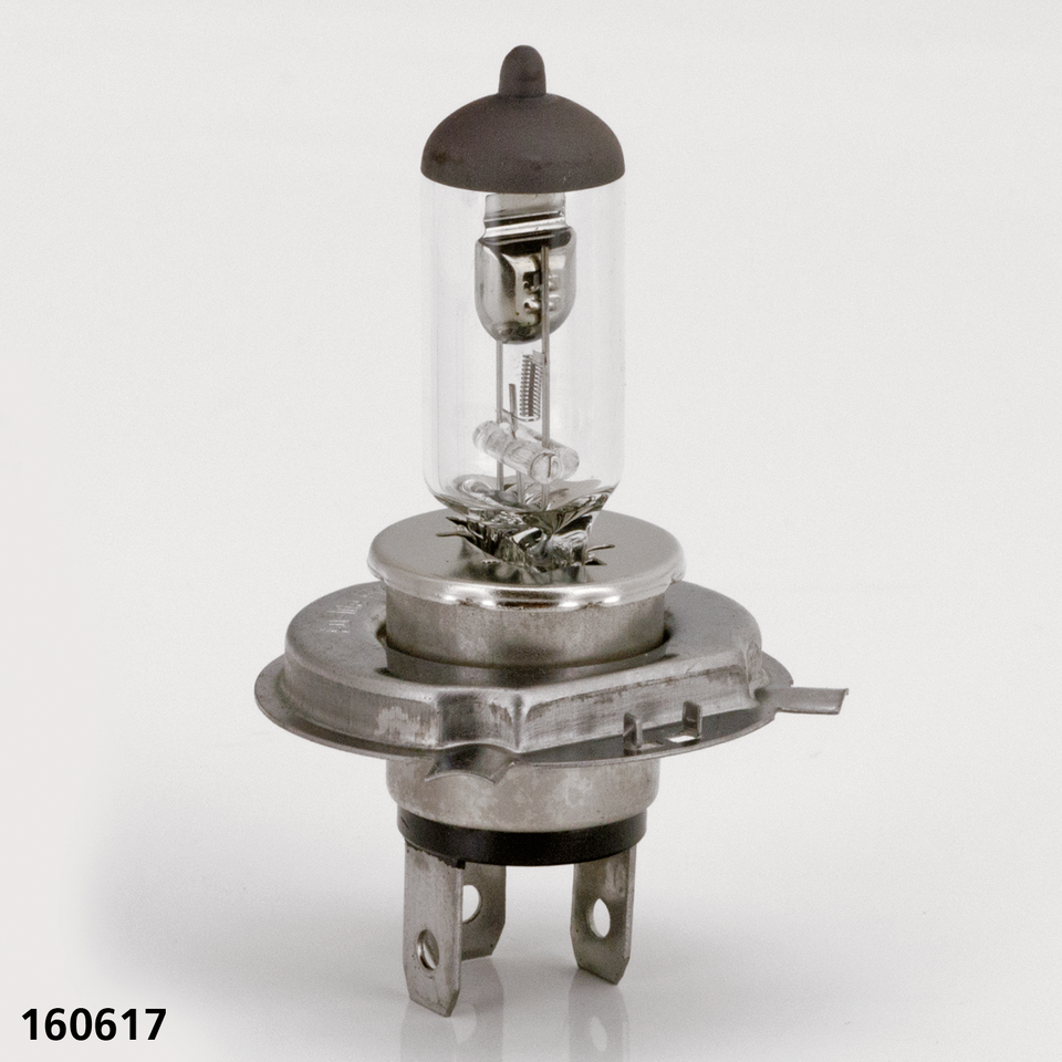 Zodiac H4 Bulb for Halogen Headlight – Electric & Light