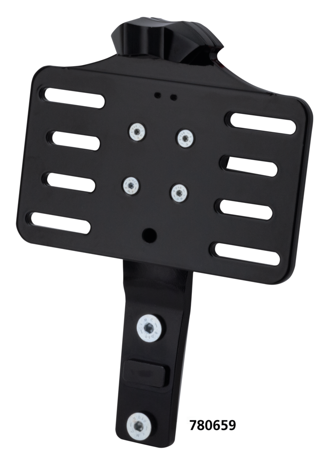 Vity's License Plate Brackets – Electric & Light