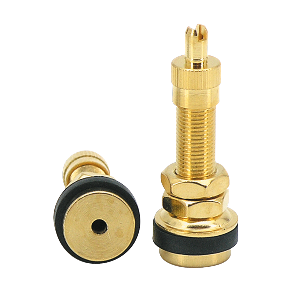 Zodiac Tubeless Tire Valves – Wheel & Tire