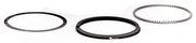 Hastings Piston Ring Sets – Engine