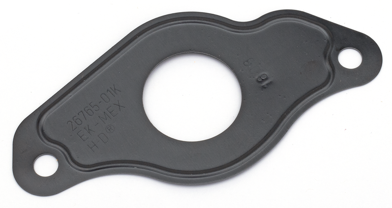 Zodiac Gasket Kits, Gaskets, Seals and O-Rings for V-Rod – Gasket & Seals