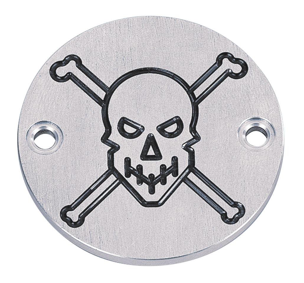 Zodiac "bad to the Bones" Cover – Engine Electrics