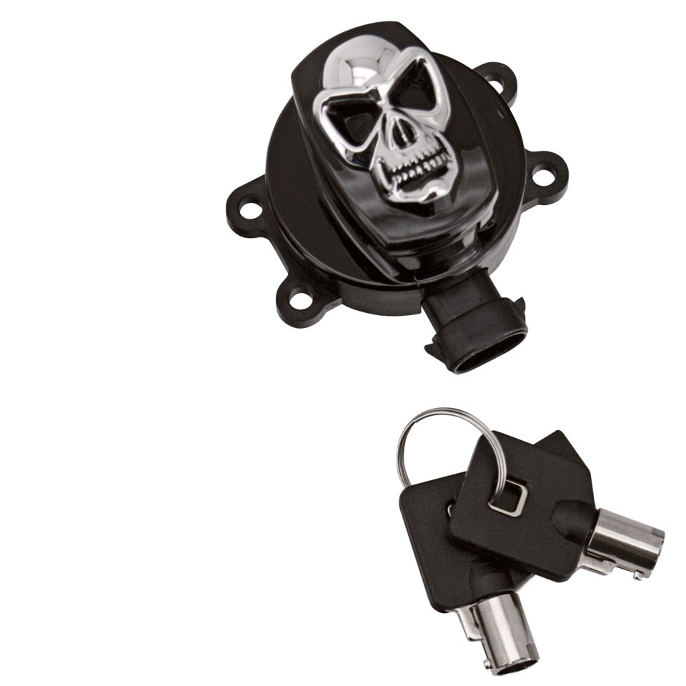 Zodiac Skull Ignition Switches – Electric & Light